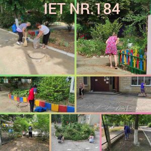 Salubrizarea teritoriului IET nr.184